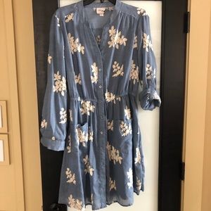 Chambray embroidered dress with slip